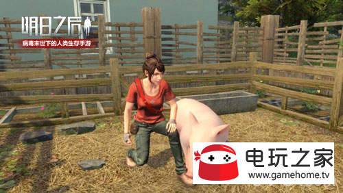 ����֮��ׯ԰ϵͳ��������Щ