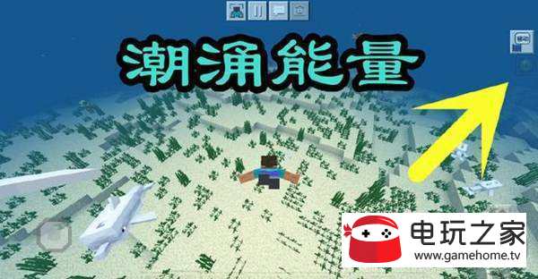 �ҵ����糱ӿ������ʲô��