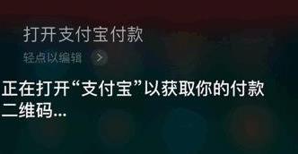 iPhone支付宝语音付款是真的吗 iPhone支付宝语音付款是真的吗