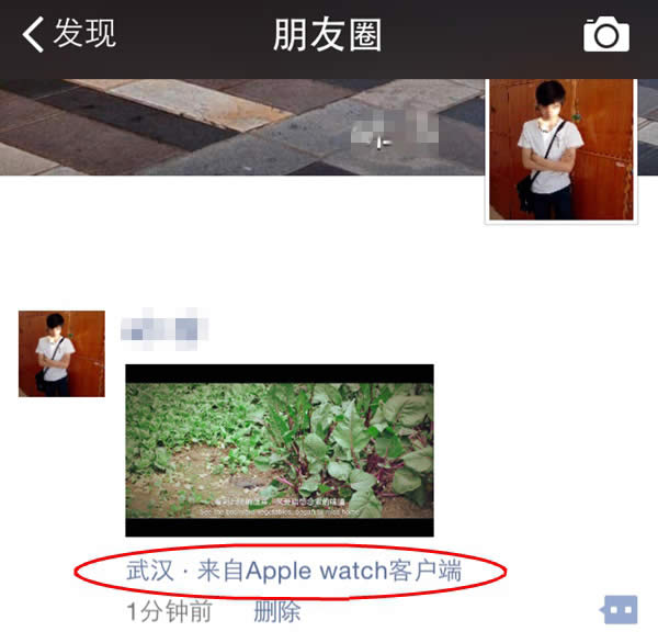朋友圈