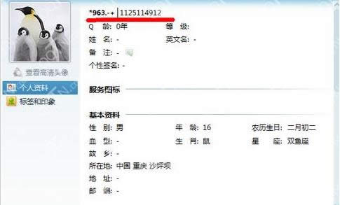 QQ号资料