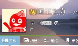 国王之力