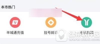 ֧������ô�����Ʊ ֧�����������Ʊ����2