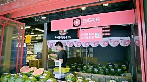 西瓜视频收益怎么算 西瓜视频能赚钱吗