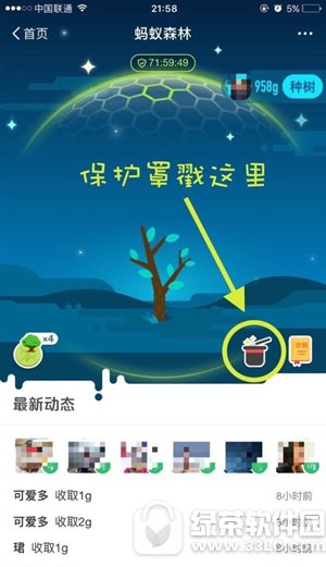 ����ɭ�ֱ�������ô���� ֧��������ɭ�ֱ����ֿ�������1