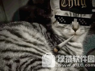 thug life怎么做视频 thug life视频制作教程3