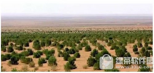 ֧��������ɭ����Ļ������� ֧��������ɭ��������������3