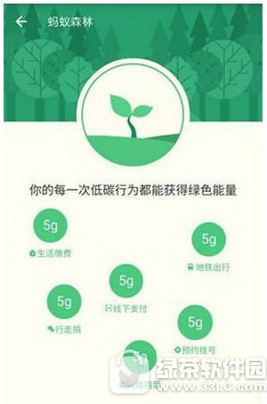 ֧��������ɭ����ô��ø��� ֧��������ɭ�ָ�����÷���