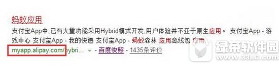 ����Ӧ����ʲô���� ֧��������Ӧ���г�����