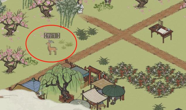 《江南百景图》小动物怎么抓