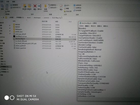 《鬼泣5》Win10闪退问题解决方法