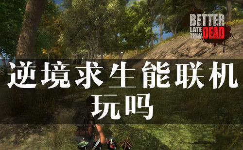 《逆境求生》能联机玩吗
