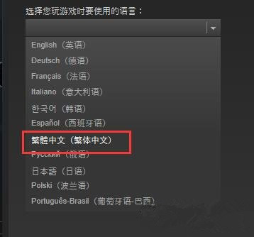 《羞辱2》设置中文方法详解