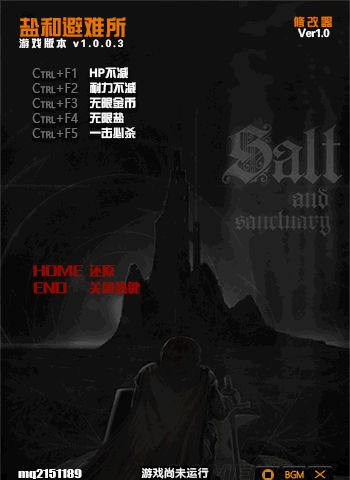《盐和避难所》修改器怎么用