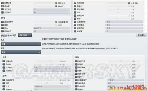 足球经理2012——对于球场宽度、后防线、逼抢范围等的个人理解