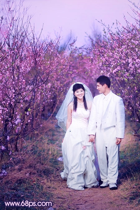 Photoshop调出桃林婚片艳丽的紫红色
