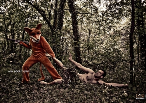 ���Ա�������ɱ�����̵Ĵ�����