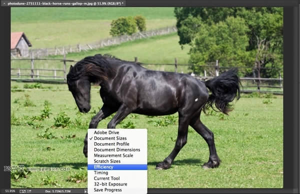 PhotoShop性能优化 PhotoShop性能优化