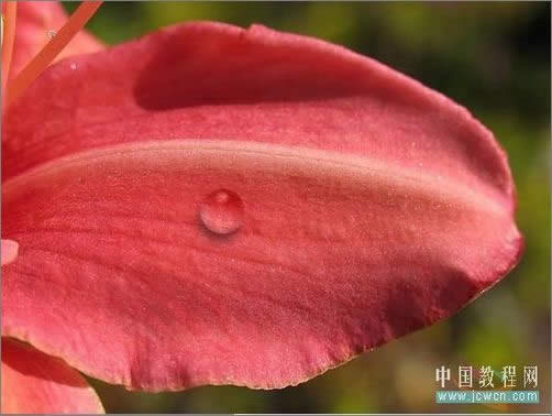 Photoshop轻松绘制树叶上的露珠_脚本之家jb51.net整理