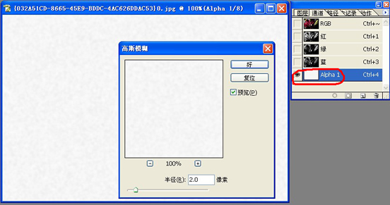 灵活运用Photoshop滤镜模拟水粉花卉效果
