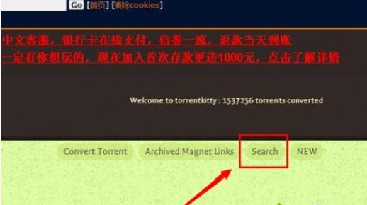 电脑打开torrentkitty的方法 电脑打开torrentkitty的方法