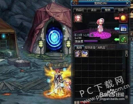 dnf宠物怎样获得?