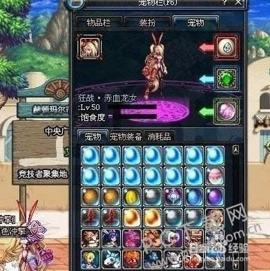 dnf宠物怎样获得?