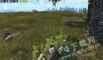 qq�ɳ�������ʨ����ɶ�ط���