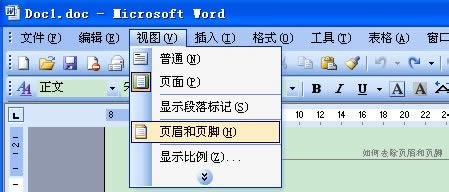 页眉页脚怎样删除?