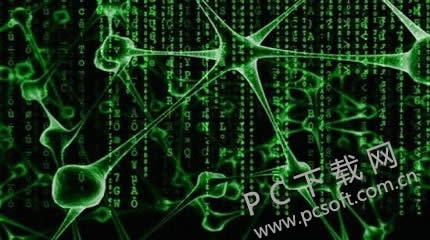 电脑中病毒了如何办？