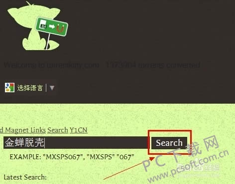 torrent kitty��ô�ã�