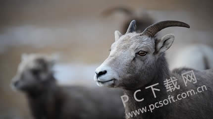 图片压缩工具怎么用