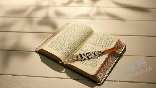 windows media player��ôж�أ�