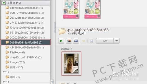 Google Picasa��ô�ã�