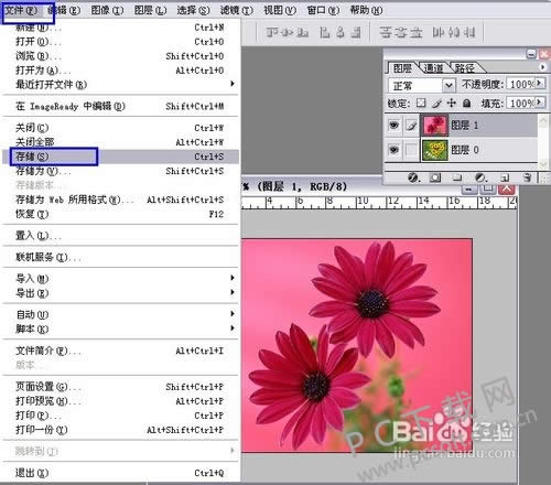 adobe imageready cs2��ô��gif��