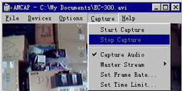 AMCap��ô�ã�