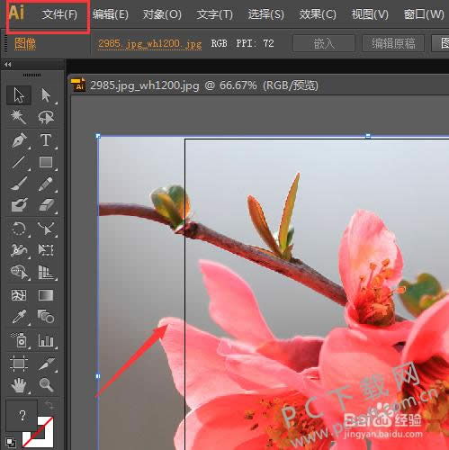 Adobe Illustrator CS4�����ͼ��