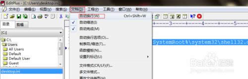 EditPlus����Զ����У�