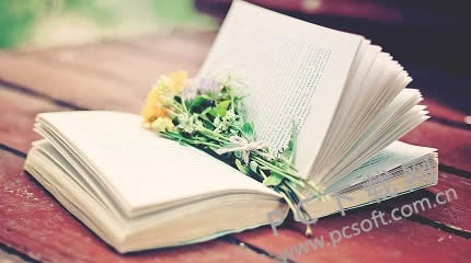 流量神器怎么用?