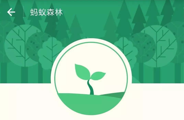 小米手环步数怎么同步到支付宝 小米运动步数怎么同步支付宝方法介绍 小米手环步数怎么同步到支付宝 小米运动步数怎么同步支付宝方法介绍