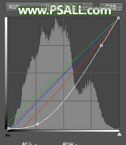 调出逆光小清新草地场景女孩照片的PS教程