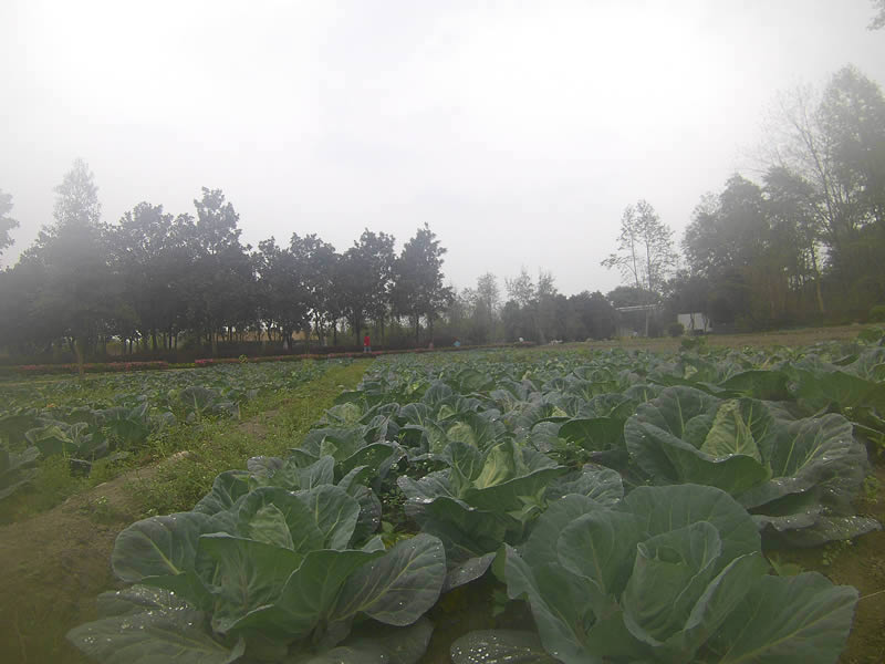 调出鲜艳水彩日式油画风景照片的PS教程