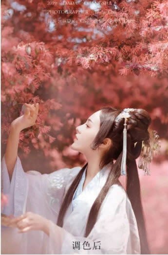 PS调出秋季水红树叶背景汉服女生照片