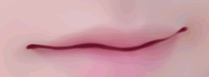 结合SAI软件把女孩照片转手绘的PS教程