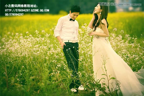 PS加深美化黄绿色油菜花背景婚片