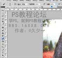 PS调出洋红暖色唯美逆光女孩照片