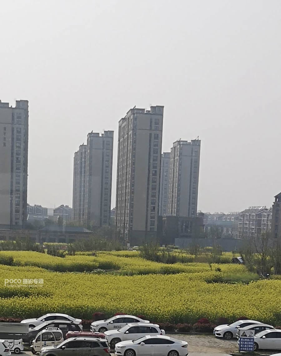 PS把逆光油菜花人物照片调成明亮高清效果