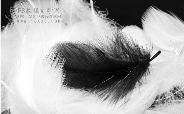 调出雪白色彩冬季阳光人像照片的PS教程