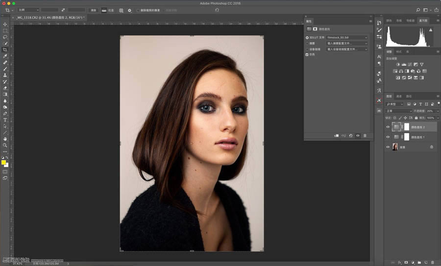 用LUT工具对人像照片调色处理的PS教程