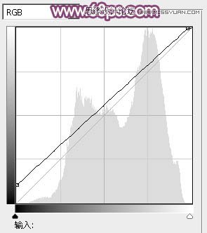 PS把户外花丛女生照片调成夏季阳光紫色调